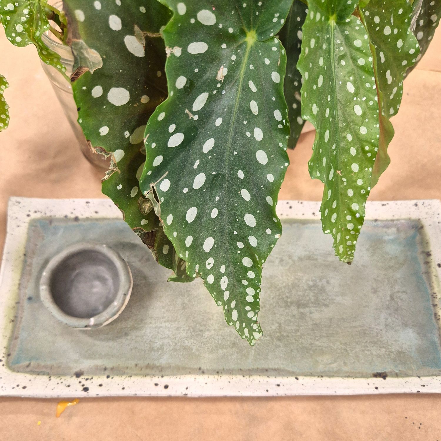 Ceramic Sushi Set Hand-building Workshop-Sunday 21st June, 1-3pm