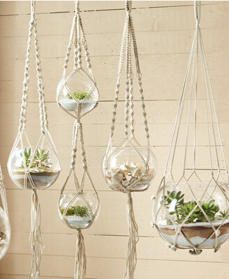 Terrarium and Macrame Hanger - Saturday 5th December, 6-9pm