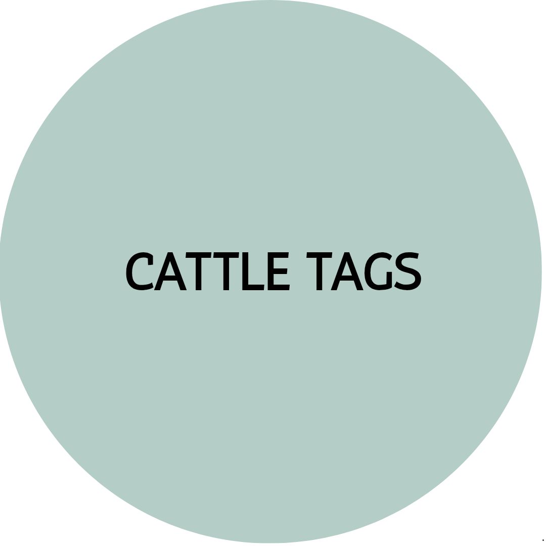 ANIMAL TAGS / CATTLE TAGS WOODEN EARRINGS | Dangles