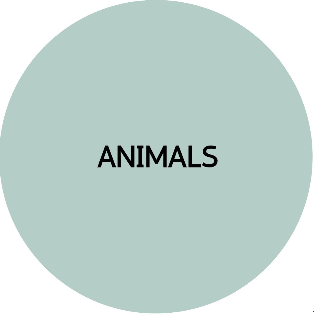 ANIMAL STUDS EARRINGS | Acrylic