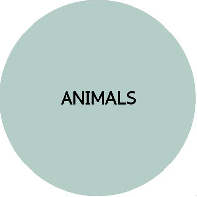 ANIMAL STUDS EARRINGS | Acrylic