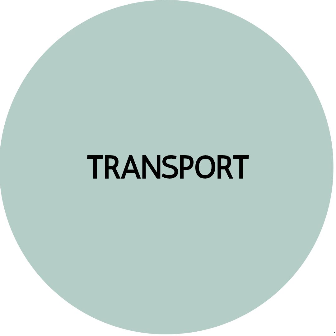 TRANSPORT STUD EARRINGS | Acrylic