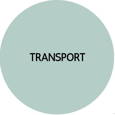 TRANSPORT STUD EARRINGS | Acrylic