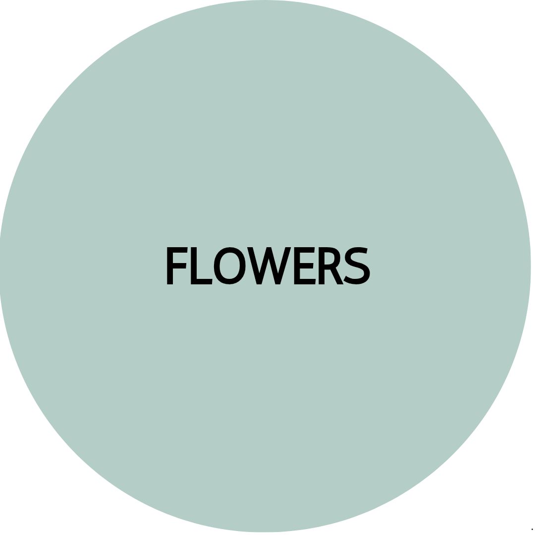 FLOWER | Clay Stud Earrings