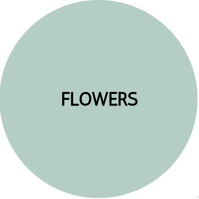 FLOWER | Clay Stud Earrings