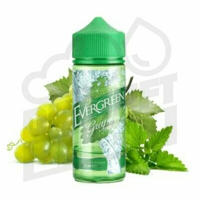 Evergreen Grape 30ml Aroma in 120ml Chubby Flasche