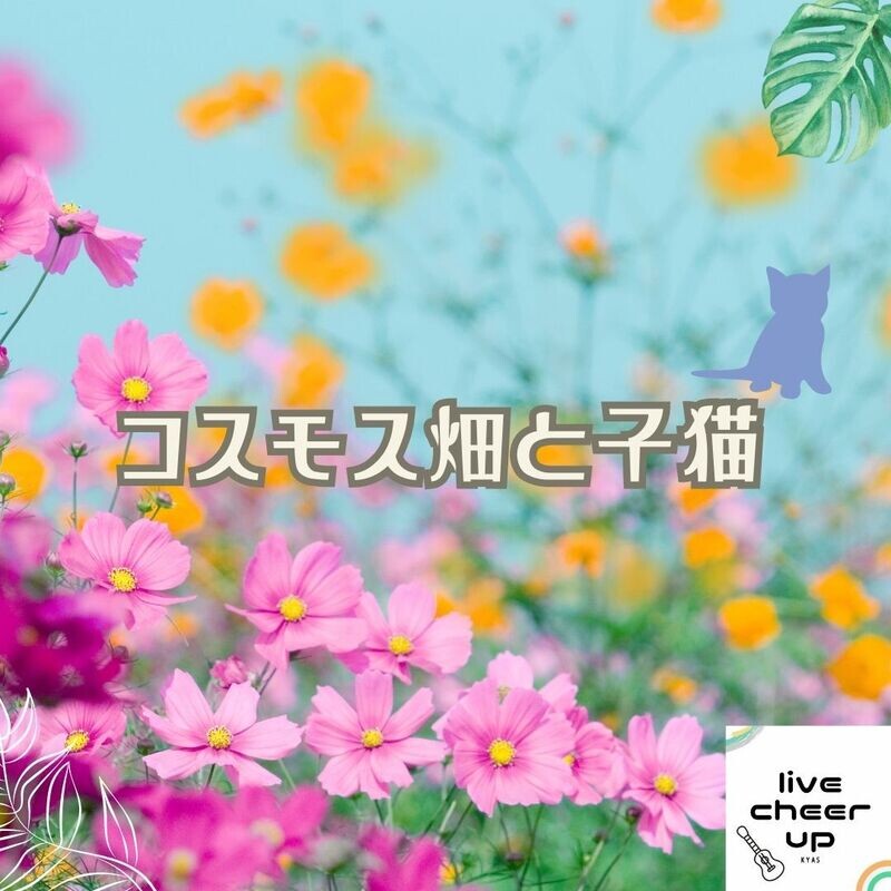 Live Cheer Up! 　特典楽譜 「コスモス畑と子猫」