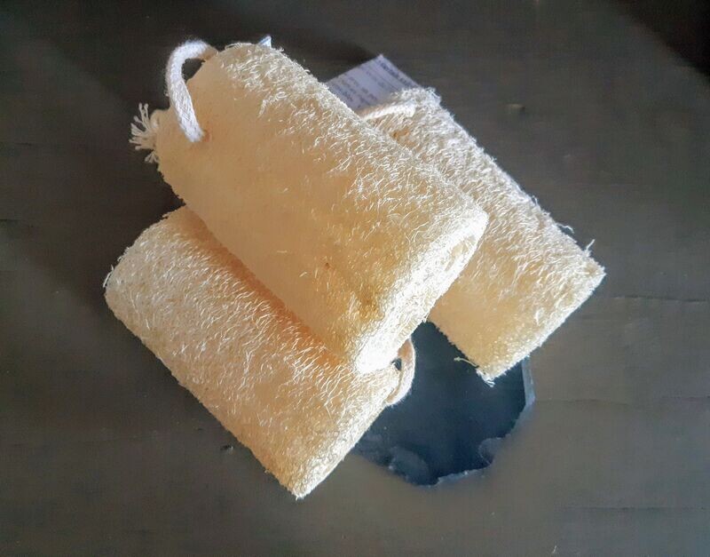 Loofah en tronçon