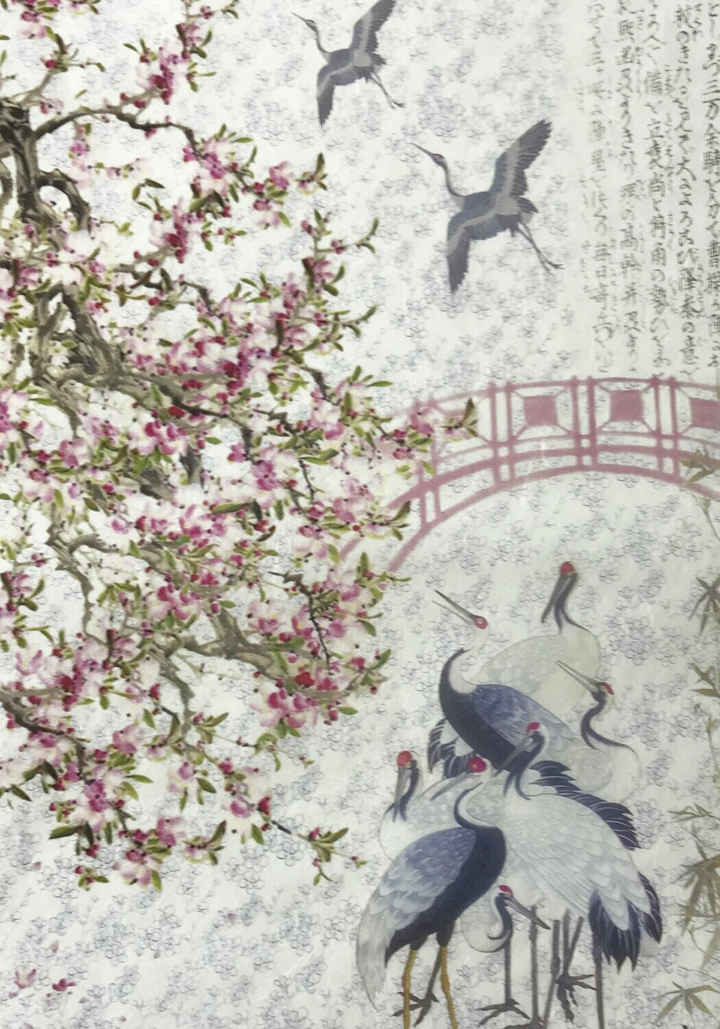 Papel arroz 30x40