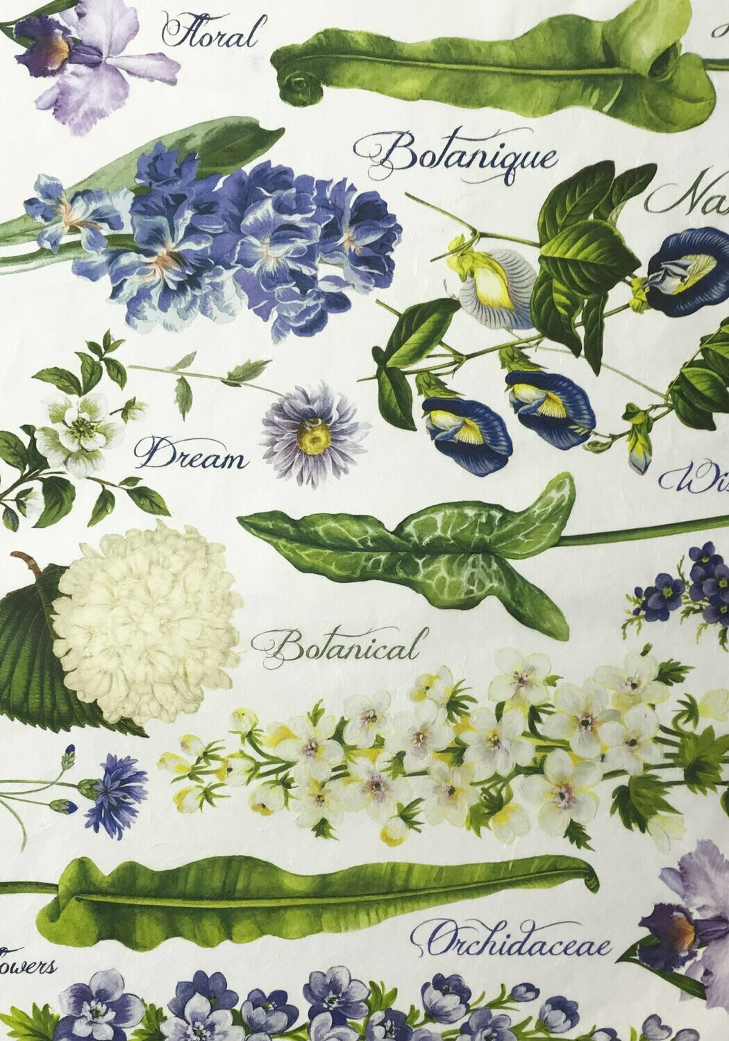 Papel arroz 30x40