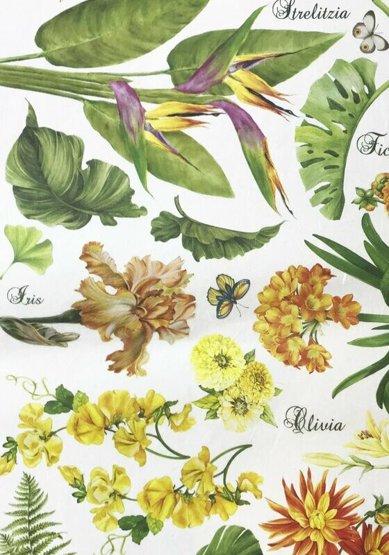 Papel arroz 30x40