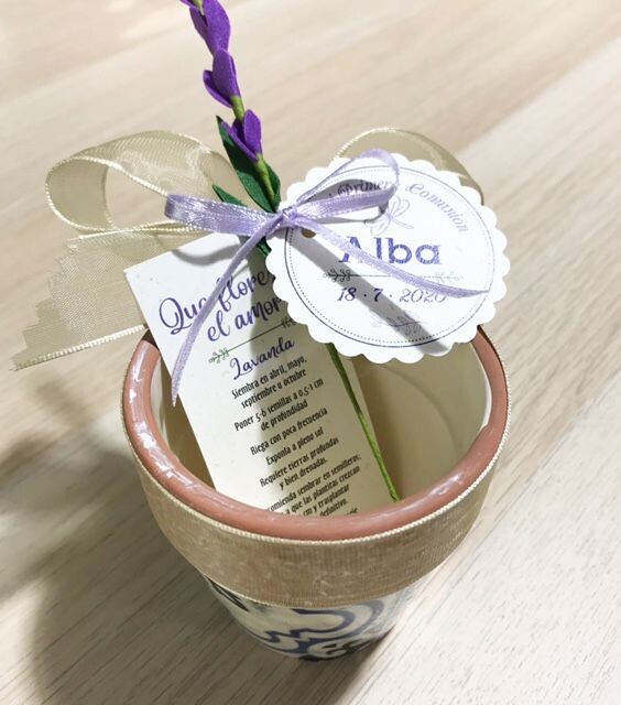 12 macetas semillas lavanda