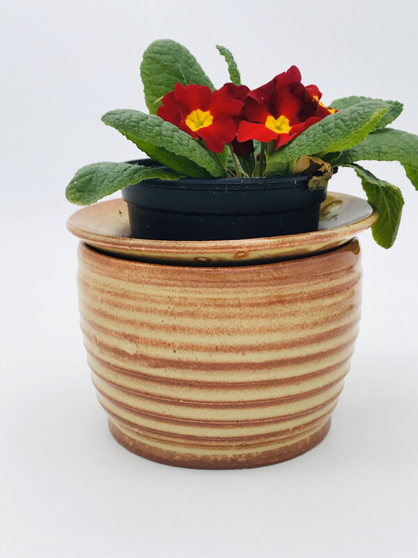 Violet pot