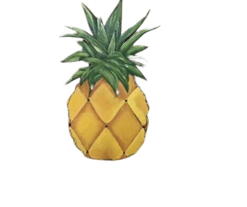 Spring/Summer Pineapple Insert