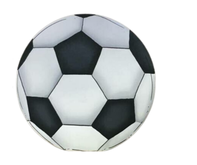Sports Soccer Ball Insert
