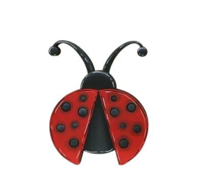 Spring/Summer Ladybug Insert