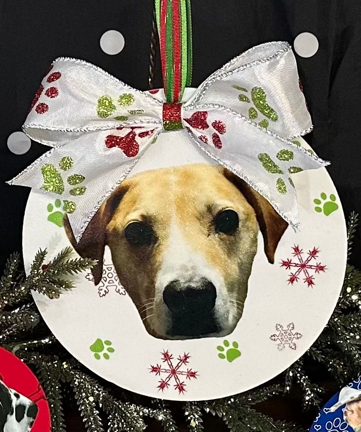 Christmas--Animals--Pet Ornaments