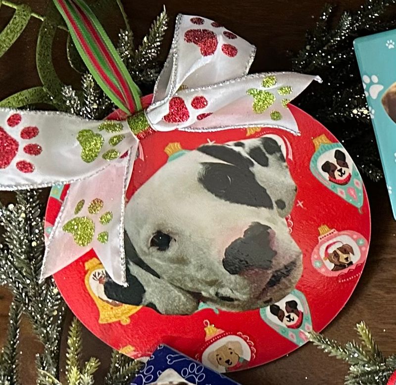 Christmas--Animals--Pet Ornaments