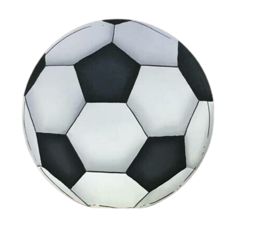 Sports Soccer Ball Insert/Sitter