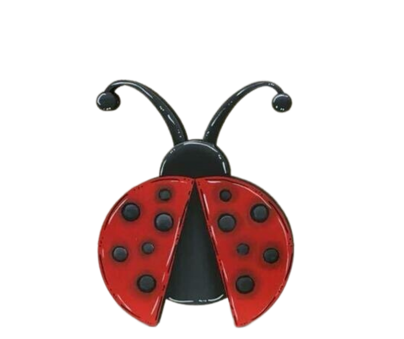 Spring/Summer Ladybug Insert/Sitter
