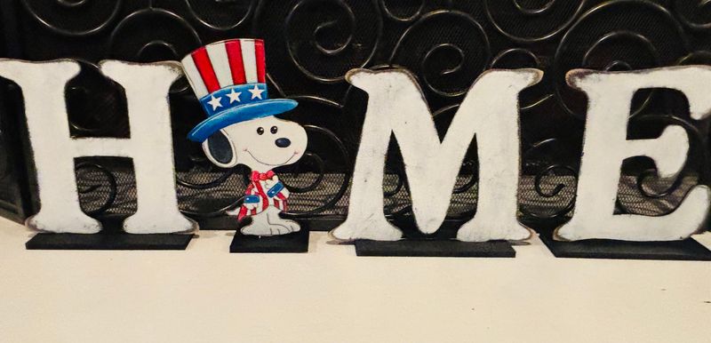 4th of July/Patriotic Snoopy Insert/Sitter-Printed
