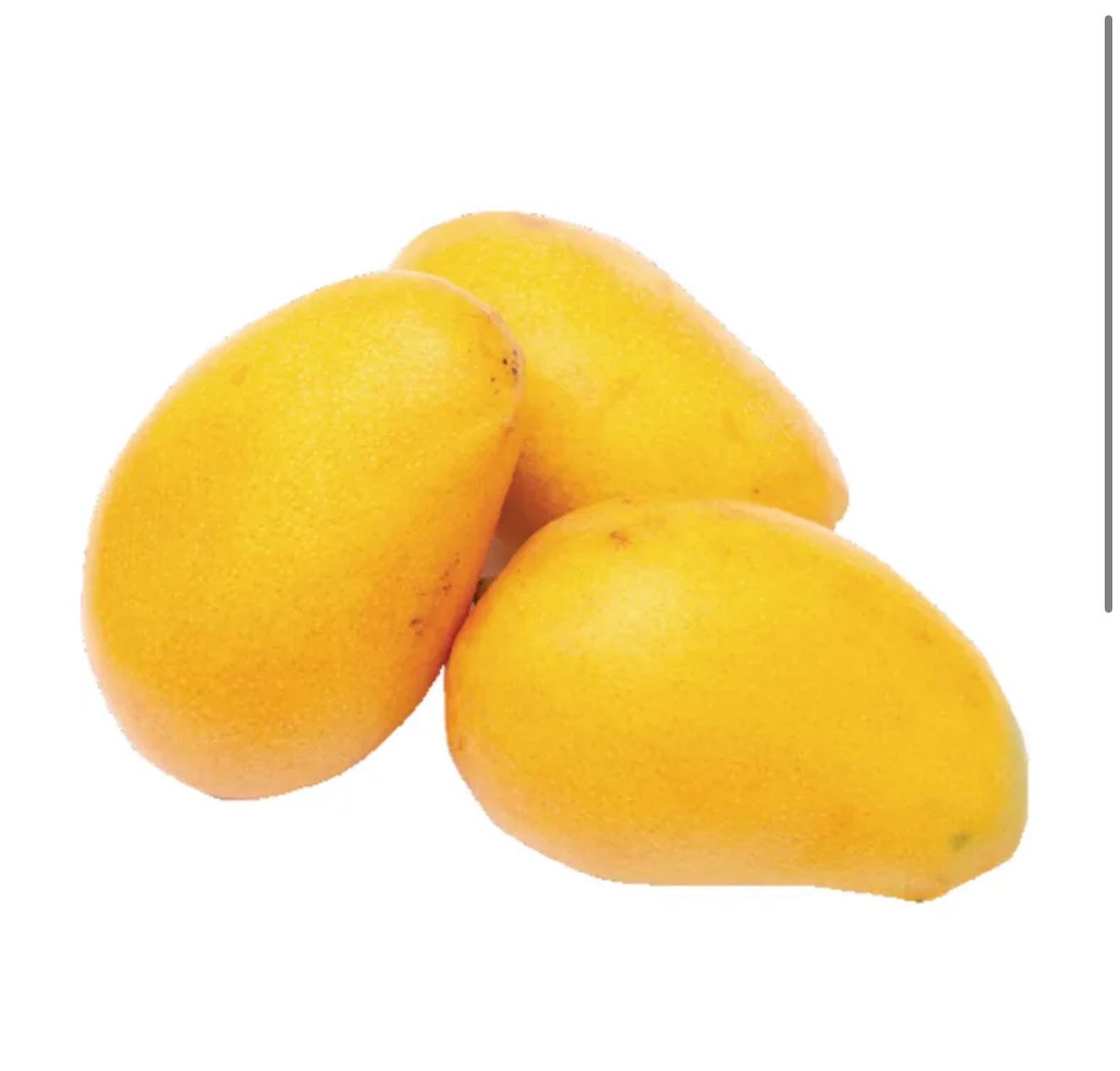 1/4 Sheet Tres leches Holiday Pan