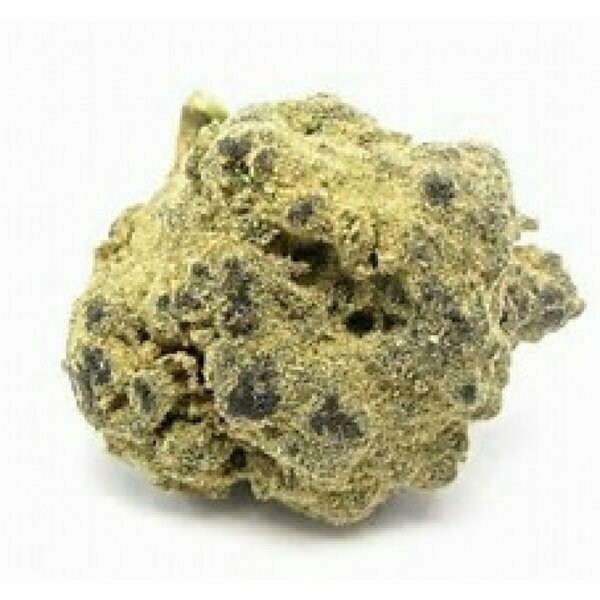 Swag Platinum Moonrock