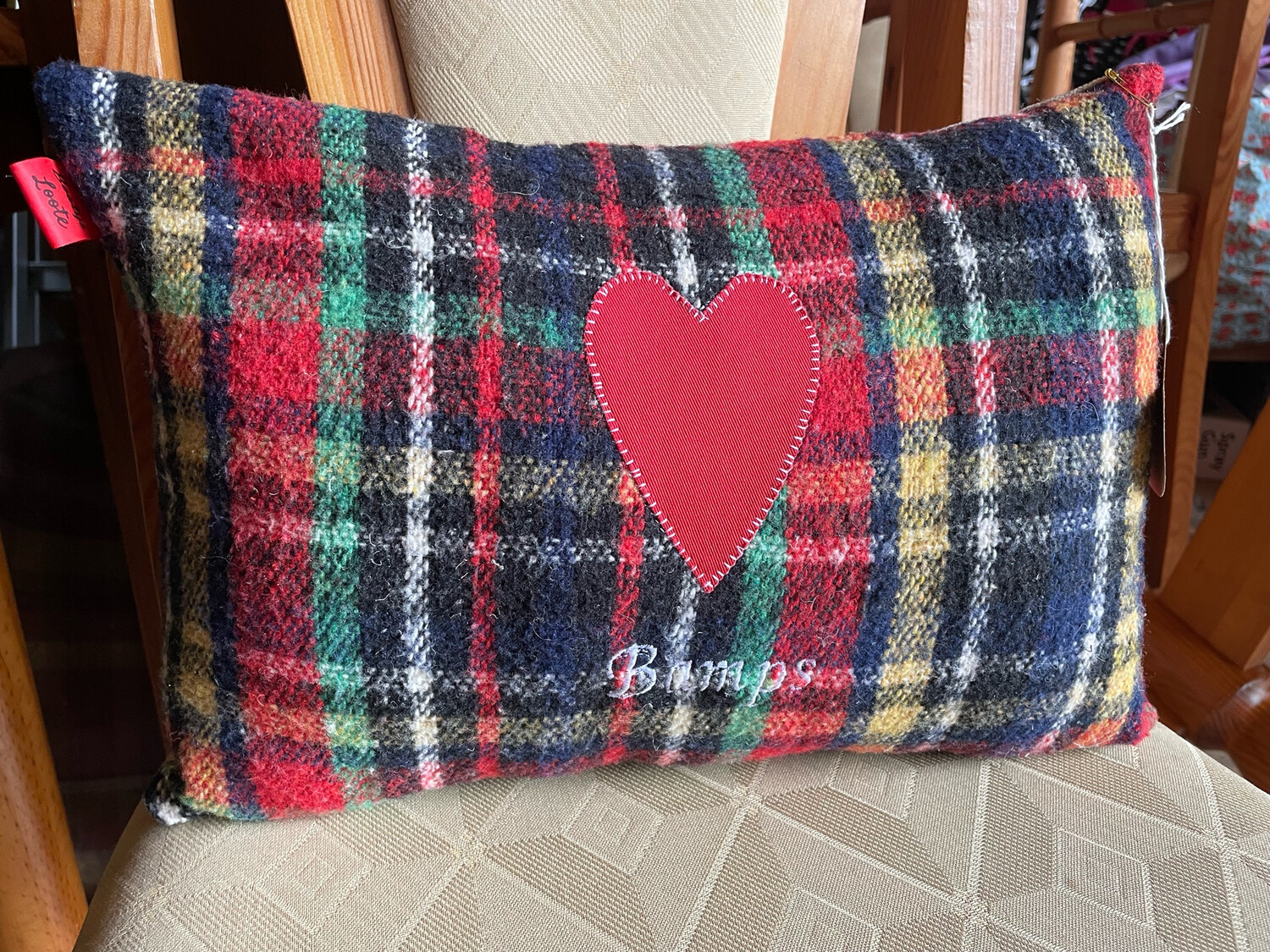 Bamps Cushion