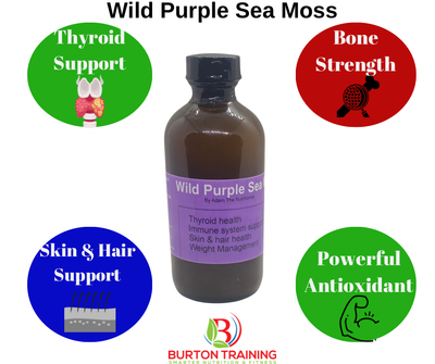 Immune system Support