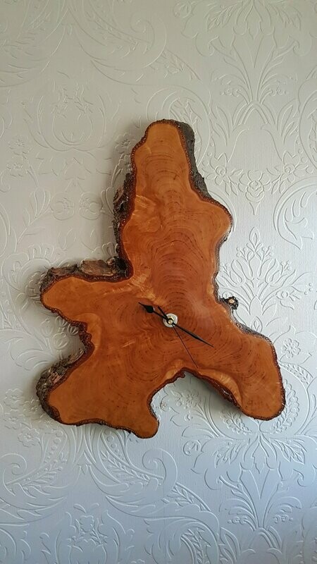 SILVER BIRCH LOG SLICE CLOCK