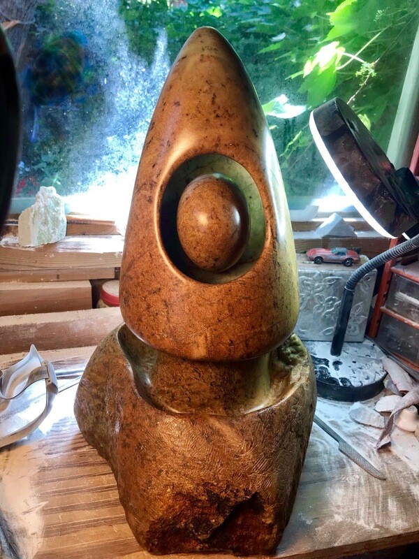 &#39;Spaceship Hope&#39;