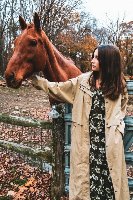 The LL Bean All Weather Coat