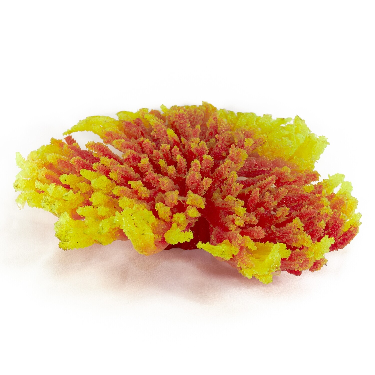 Коралл, красный с желтой окантовкой
