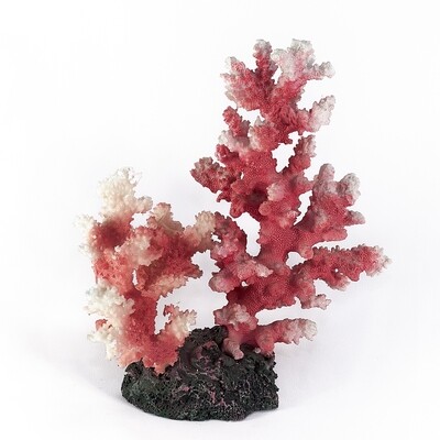 Коралл, цвета в ассортименте