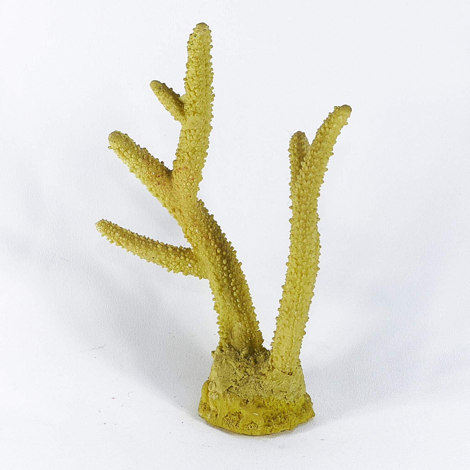 Коралл желтый