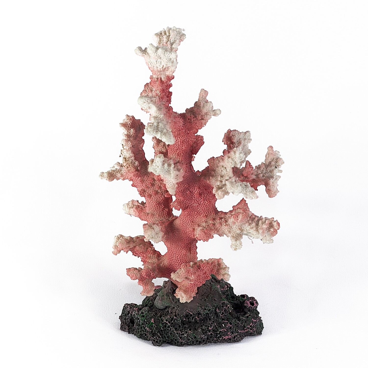 Коралл, цвета в ассортименте
