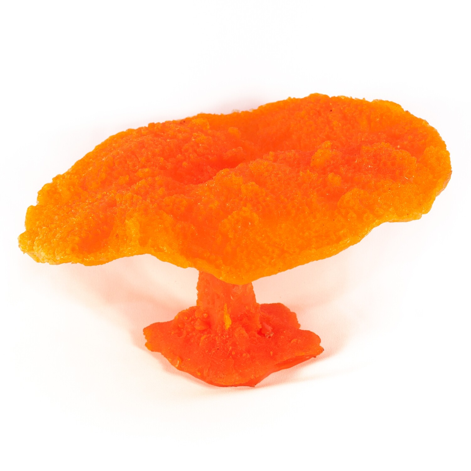 Коралл, оранжевый гриб