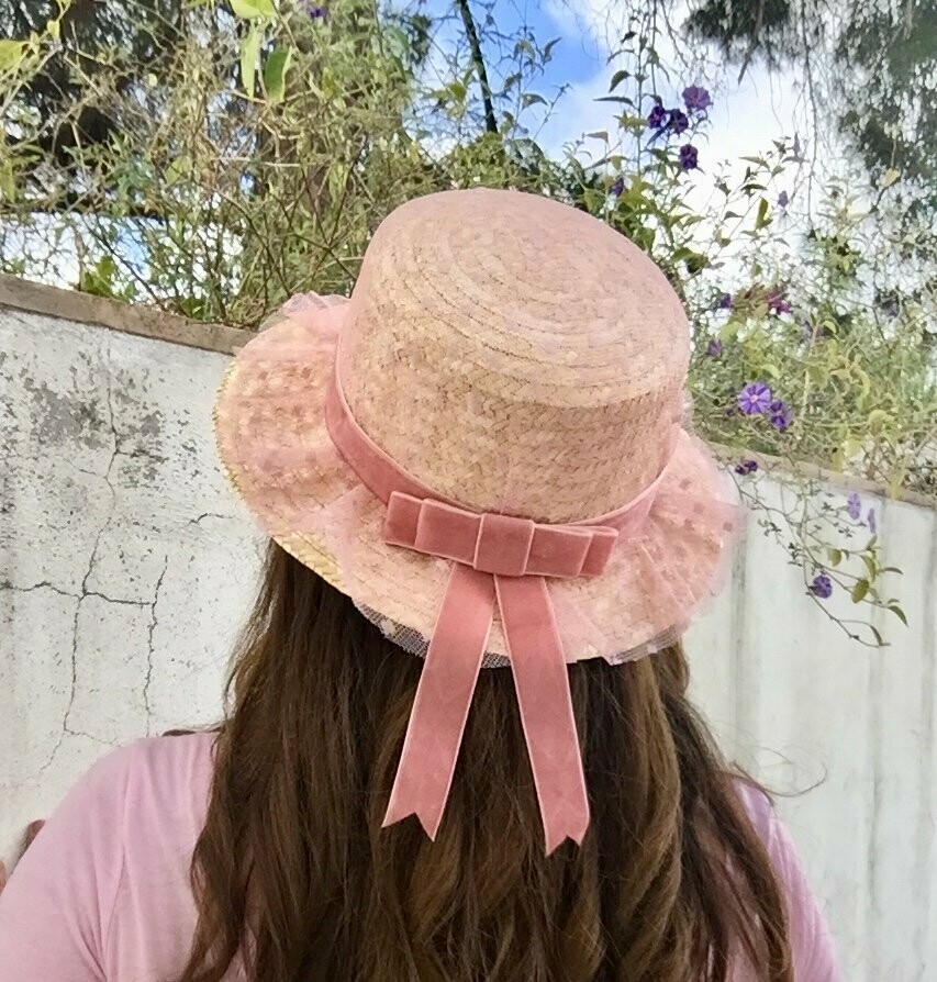 Plumeti al vuelo lazo rosa