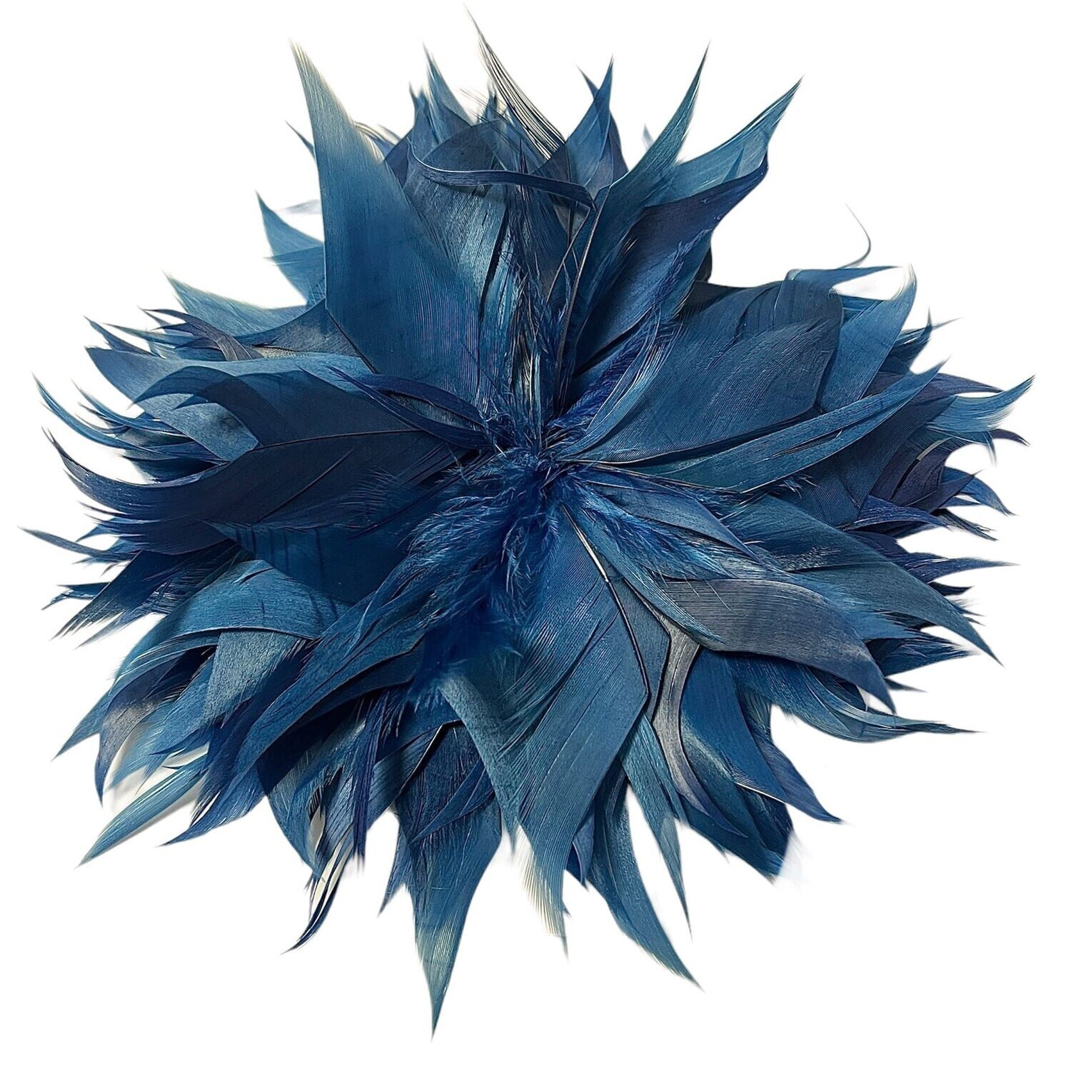 Flor plumas crisantemo azul, Color: Azul