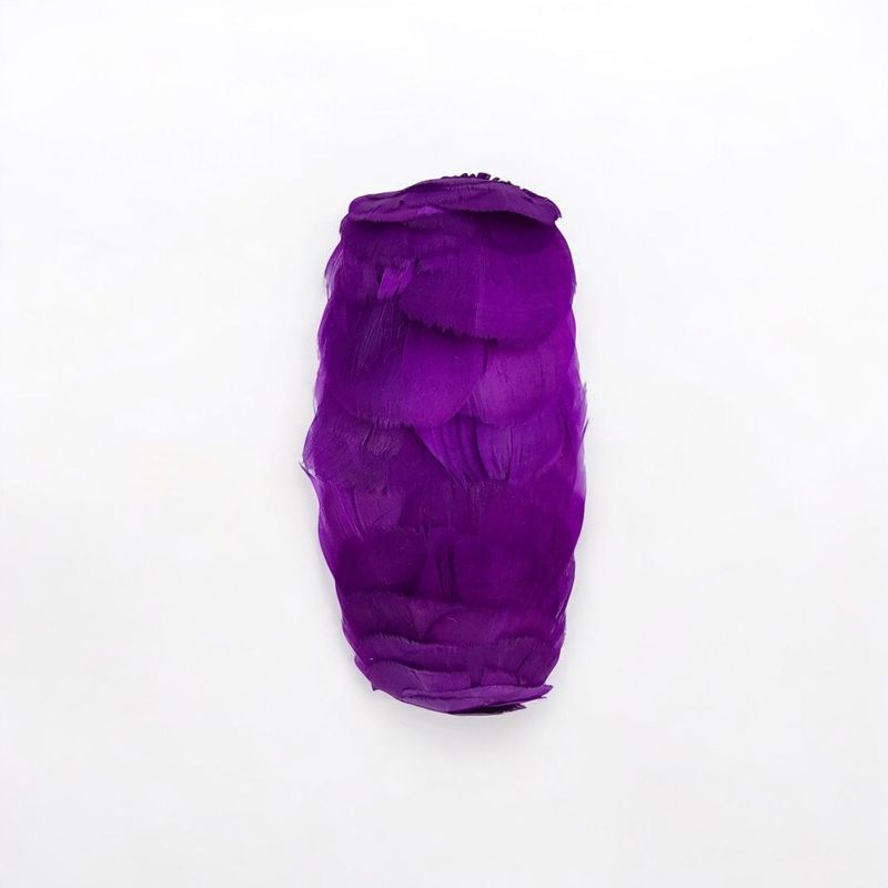 Diadema plumas moradas