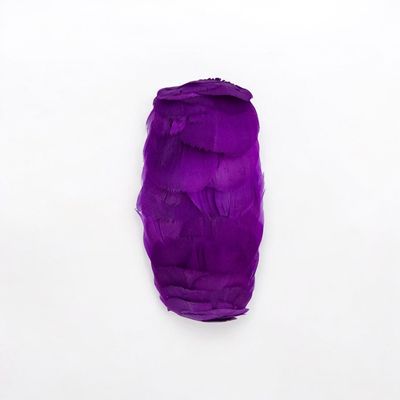 Diadema plumas moradas