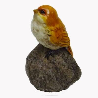 16021 Bird On Rock