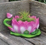 17583 Lotus Teacup Planter