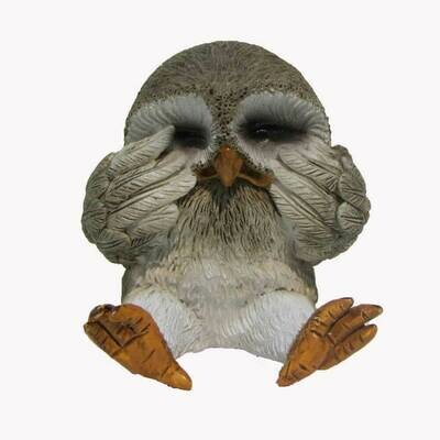 16010 Shy Owl