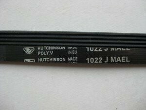 CORREA ESTRIADA 1022 J4 2805610100