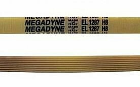 CORREA ESTRIADA 1287 H8 481281728277-1326721006