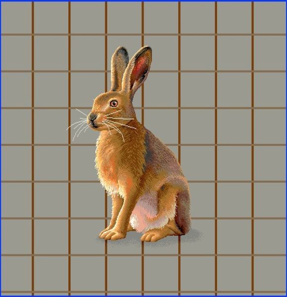 Kissen 45x45 Gobelin Hase 75% PES/22% CO/3% Polyacryl Breite x Tiefe 45 x 45 cm Kissen 45x45 Gobelin Hase 75% PES/22% CO/3% Polyacryl Breite x Tiefe 45 x 45 cm