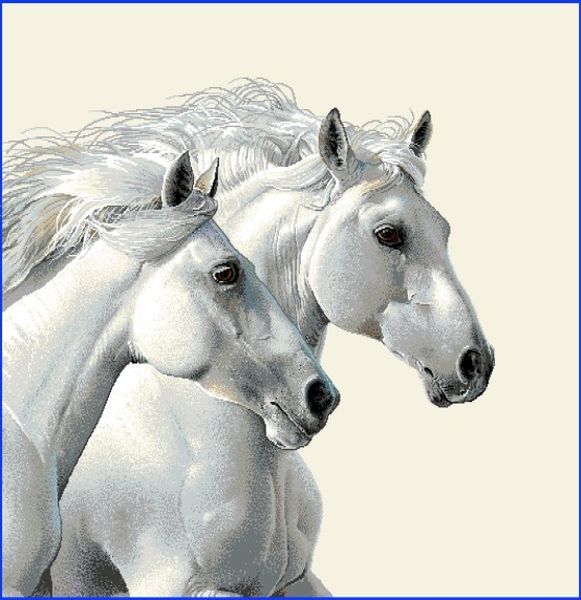 Kissen 45x45 Gobelin Pferde 75% PES/22% CO/3% Polyacryl Höhe x Breite 45 x 45 cm