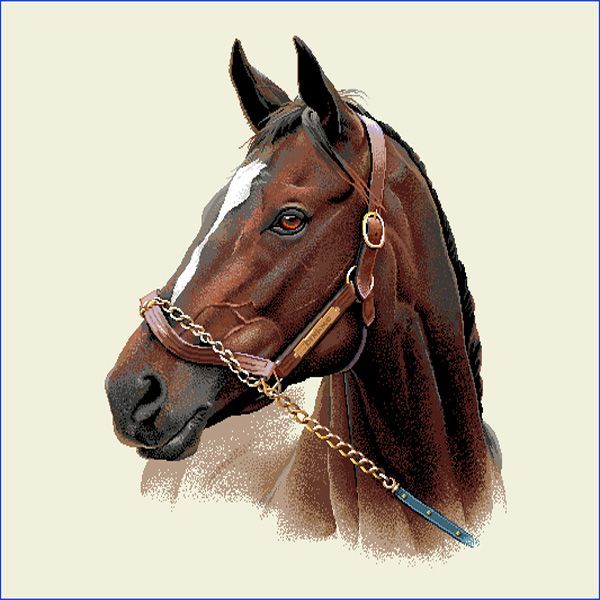 Kissen 45x45 Gobelin Pferd 75% PES/22% CO/3% Polyacryl Höhe x Breite 45 x 45 cm Kissen 45x45 Gobelin Pferd 75% PES/22% CO/3% Polyacryl Höhe x Breite 45 x 45 cm