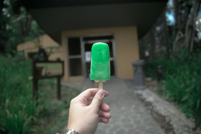 Frozen Treats